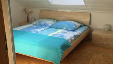 Romantisches Hirschhorn am Neckar - Foto 2