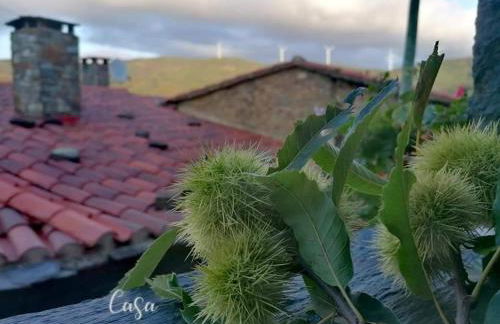 Casa Catraia Gondramaz no Pulmão da Serra da Lousã - Foto 13