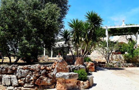 Dimore Storiche - Ulivo di Aldo - Foto 32