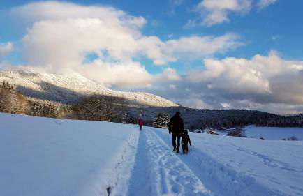 Ferienwohnung Sabolowitsch - Foto 26
