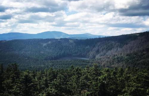 Das Kuenstlerhaus in Kammerstein - Photo 58