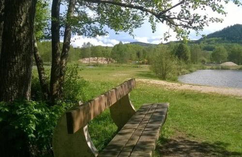 Les Gites de l étang :Studio à 20 mn de Gerardmer - Foto 24