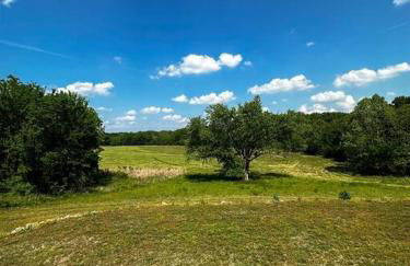 Stunning Mid-Cent Modern Retreat • Comfy Beds • Grove • Quiet Setting • Boat Parking - Foto 6