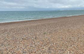 Bexhill Beautiful Sea Front Bungalow - Foto 36