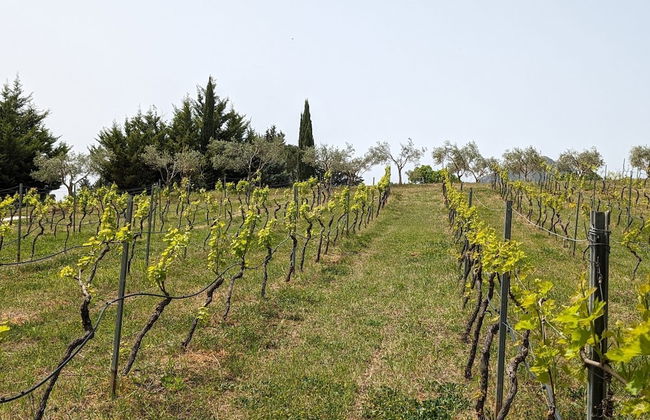 Casale Mon Rahal - Photo 43