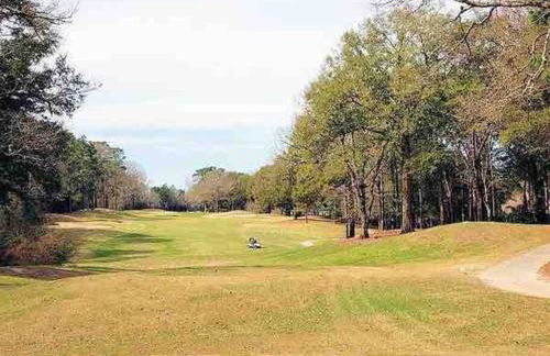 Donna’s Charm: 3 BR/king-suite/pools/golf - Foto 30