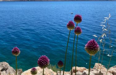 Adria apartmani - Foto 22