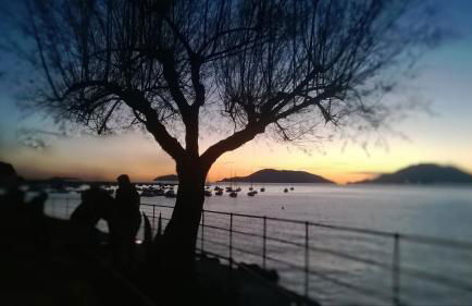 Very nice flat in Lerici 5 terre Villa Aurora in centro con parcheggio - Photo 37