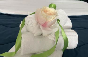 [Historic Center] Via Po Apartment - Foto 75