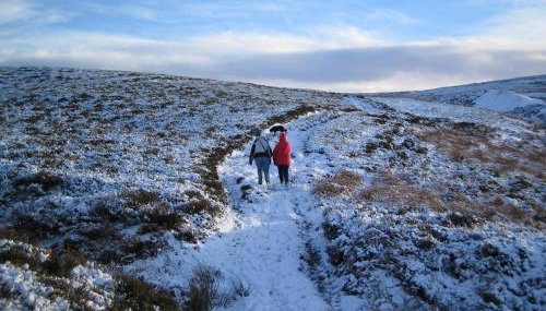 Cissy's Cottage - Foto 4