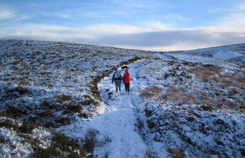 Cissy's Cottage - Foto 4