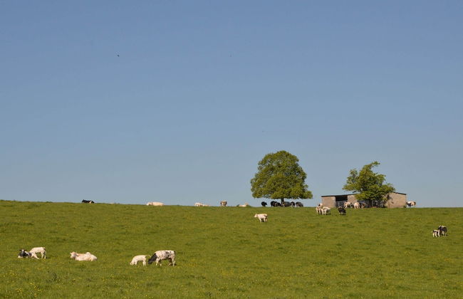 Lavish Holiday Home in Forrieres With Sauna - Foto 41