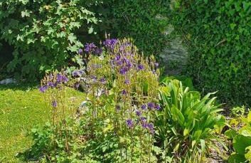 Old Vicarage Mortehoe Near Woolacombe 2 x sleeps 4 and 1 x sleeps 10 cottages - Foto 41