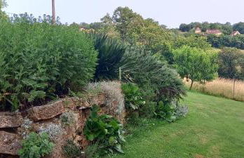 La bellevue - Foto 9