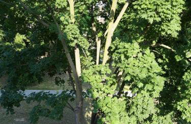 Apartamenty Polna - Foto 46