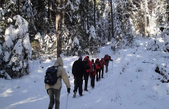 Apartment in Neuhaus Near Petzen Ski Area - Foto 29