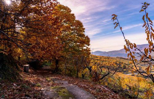 La Cañada del Valle del Jerte - Foto 51
