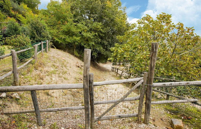 Spacious Villa in Sermugnano With Private Swimming Pool - Foto 3