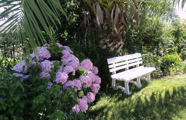 Quinta Retreat With Pool and Olive Grove - Foto 40