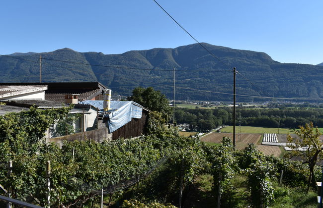 Bertino 1892 - Foto 19