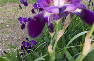 Agriturismo Uliveto Gretacci - Foto 56