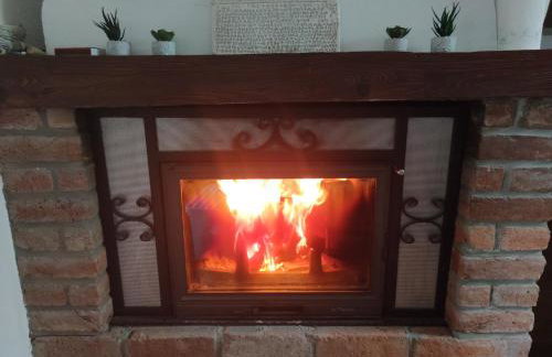 Margarita - Photo 32