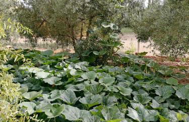 Masia Rosalia - Foto 27