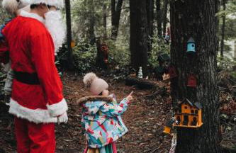 Perch - Ellie's Secret Cabin - Foto 65