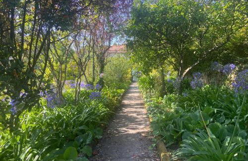 Quinta do Vale Vaqueiro - Foto 9