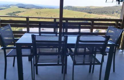 La forêt des Marmottes - Photo 44