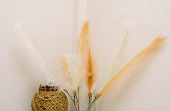 Sweet home - Foto 30