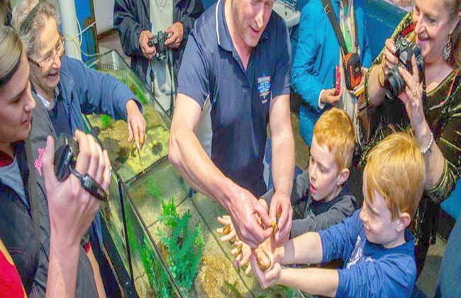 Tour Guiado pelo Mundo dos Cavalos-Marinhos - Foto 8