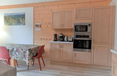 Résidence récente au Lioran à proximité des remontées mécaniques - Photo 5