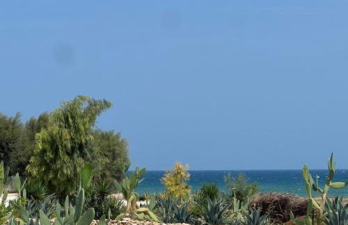 Masseria Ostuni Mare Agri Resort - Foto 80