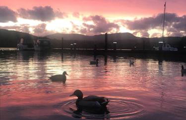 Owls House - Lodge with hot tub- Lake District - Photo 19