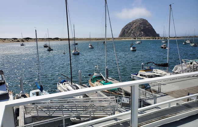 Gray's Inn & Gallery - Foto 63