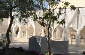 Tenuta Sidore - Foto 119