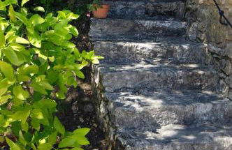 Roquecombe - Foto 11