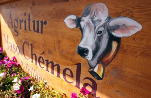 Agritur Maso Chemela - Foto 95