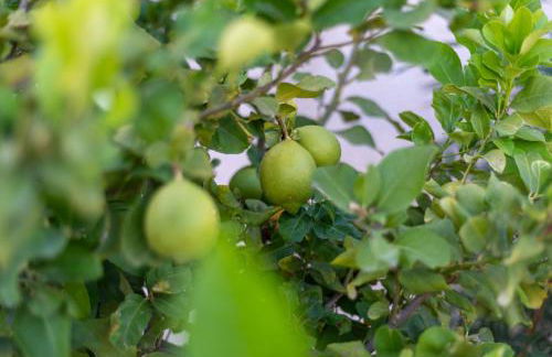 Casa Giardinello - Foto 44