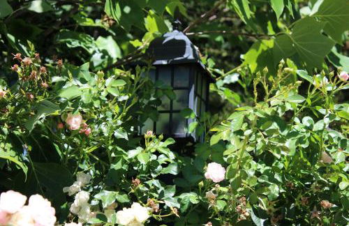 Complejo Rural La Coronilla - Foto 34