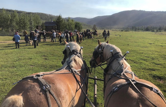 Vista Verde Ranch All-inclusive - Adults Only - Foto 39