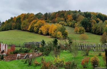 Agroturystyka Natura - Foto 8