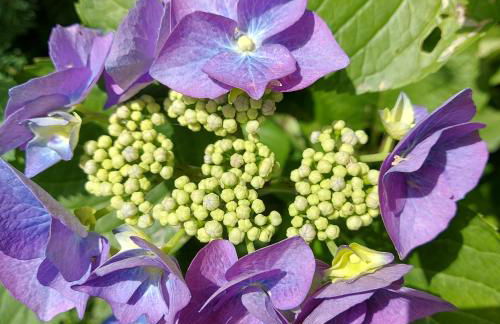 Wuppertal Katernberg - Foto 12