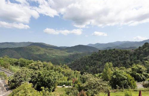 AGRIFOGLIO - Palazzo Ravaschieri - Foto 14