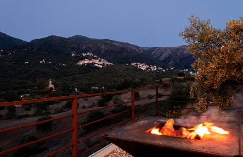 APICULTEUR - Foto 19