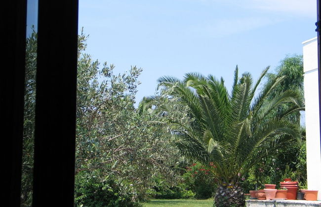 Il Venticello Agriturismo - Foto 14