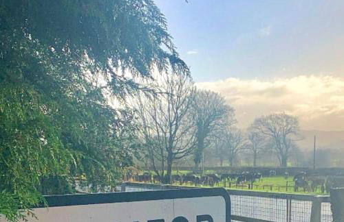 Cysgod Bach & Caban y Saer Cottages - Foto 18