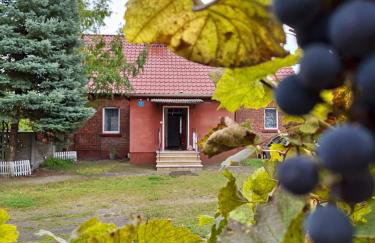 Domek przy Maja - Foto 1