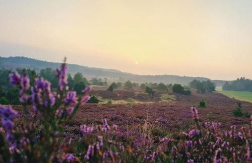 Heide Ferien - Hof Bockelmann - Foto 3